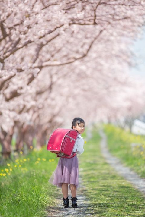 ひまりさん 小学1年生 桜と緑とランドセル こだわりからくる美しさを感じます ララちゃんランドセル